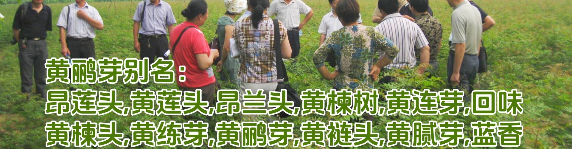 图片名称