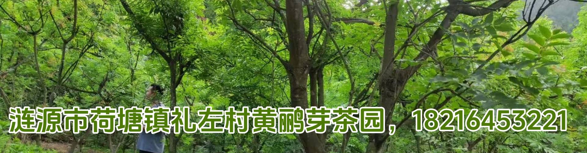 图片名称